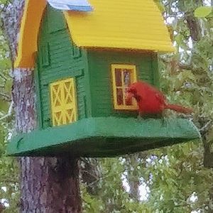 Meet your Posher, Carol